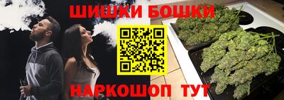 МДПВ Лесосибирск