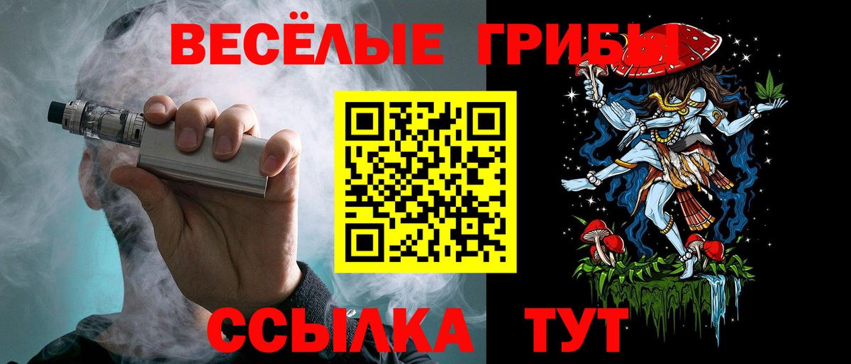 Камень-на-Оби  Псилоцибиновые грибы Psilocybe  Вход с VPN 